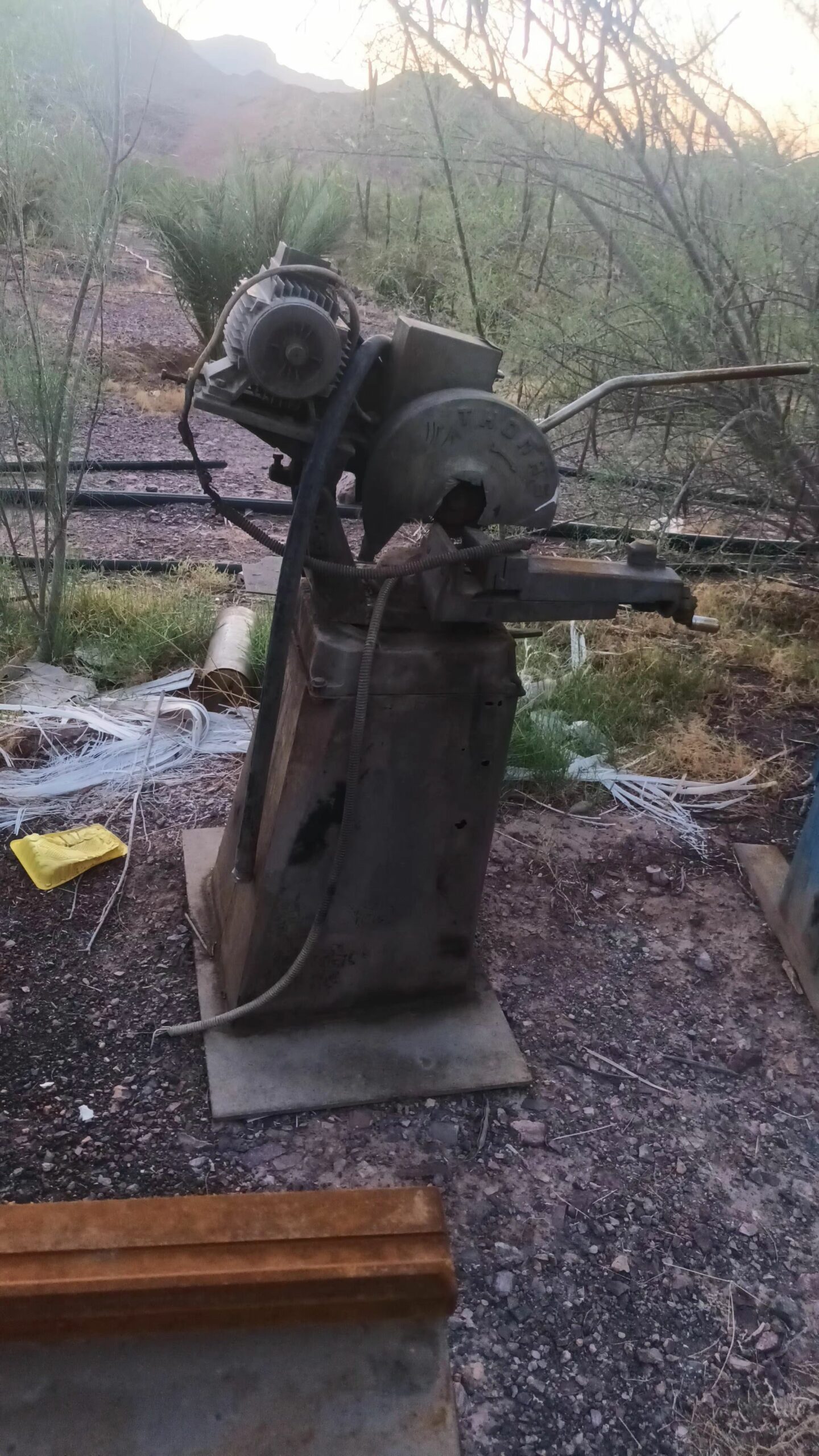 المدينه المنوره