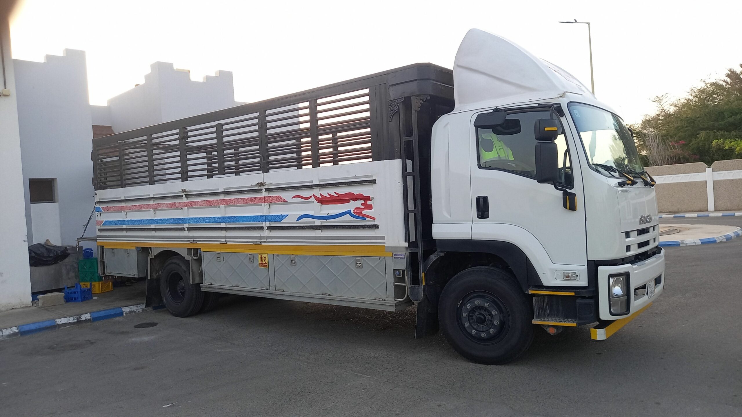 تبوك حي سلطانة