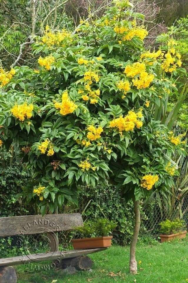 0548813846تنسيق الحدايق