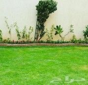أبو احمد لتنسيق الحدائق العامه والخاصه للزراعه