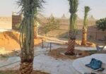الرياض القوعيه الدمام