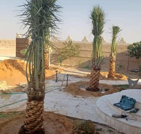 الرياض القوعيه الدمام