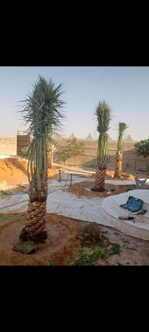 الرياض القوعيه الدمام