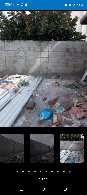 موليس 0510253638