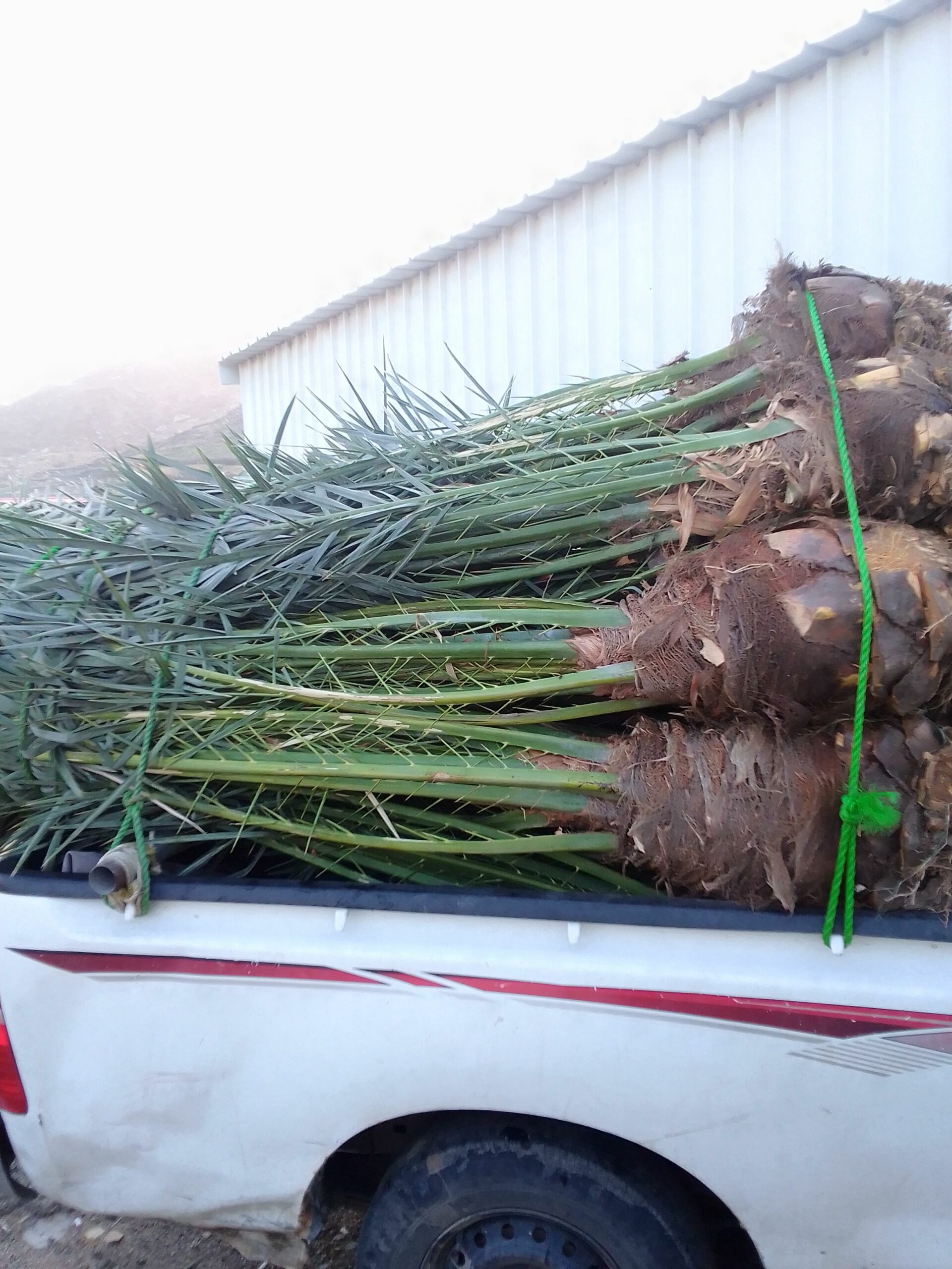 مكه المكرمه