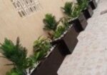 أبو احمد لتنسيق الحدائق العامه والخاصه للزراعه