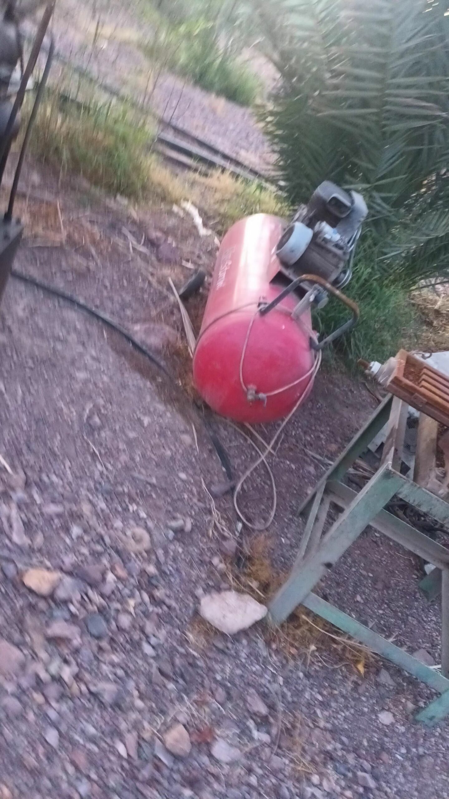 المدينه المنوره