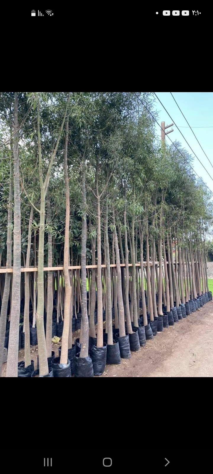 0548813846تنسيق الحدايق