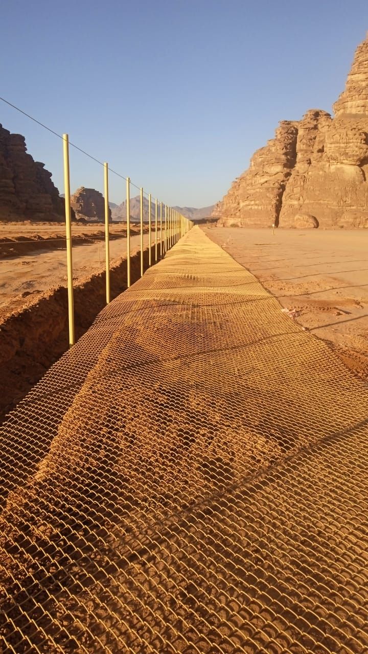 يوجد لدينا نخيل عربي وشنطن ورش مبيد حشرات واعمال الشبوك