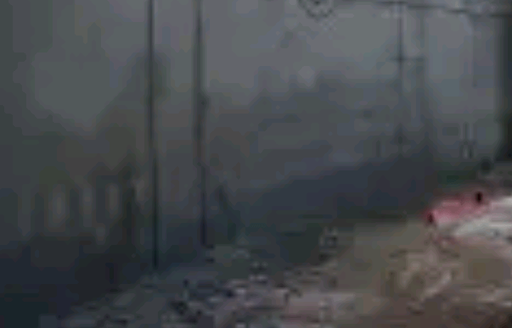 موليس 0510253638