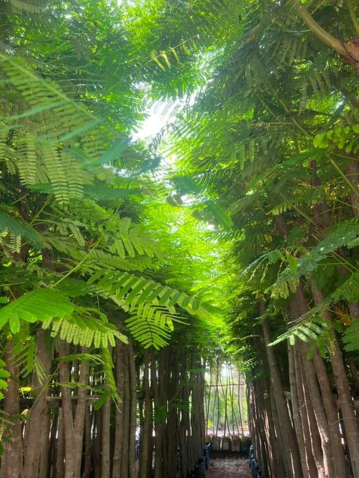 0548813846تنسيق الحدايق