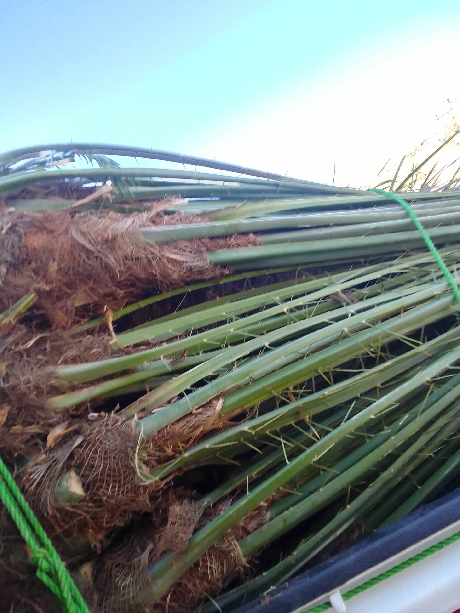 مكه المكرمه