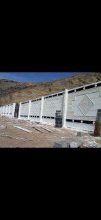 بريده