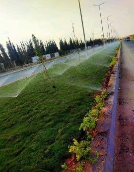 الرياض