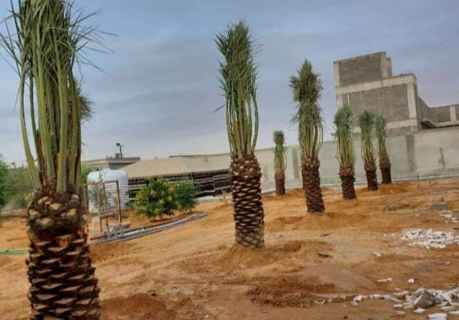 الرياض القوعيه الدمام