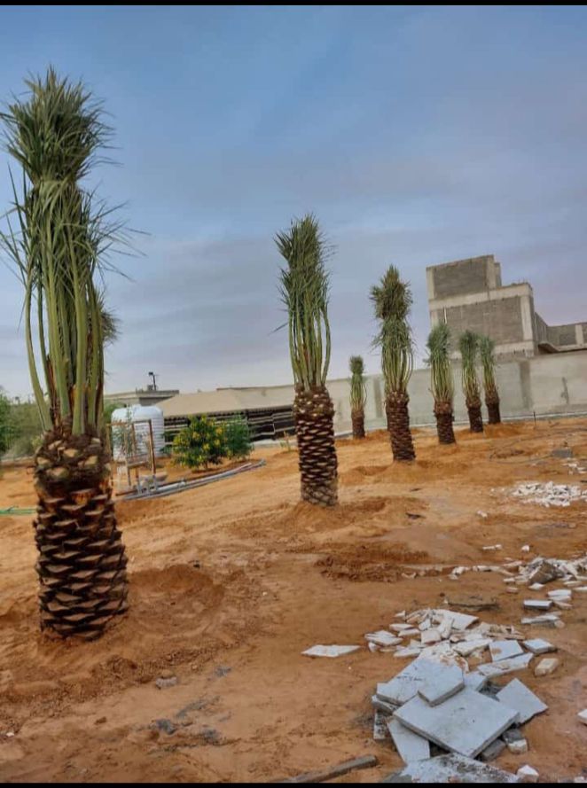 الرياض القوعيه الدمام