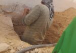 محمد وليد