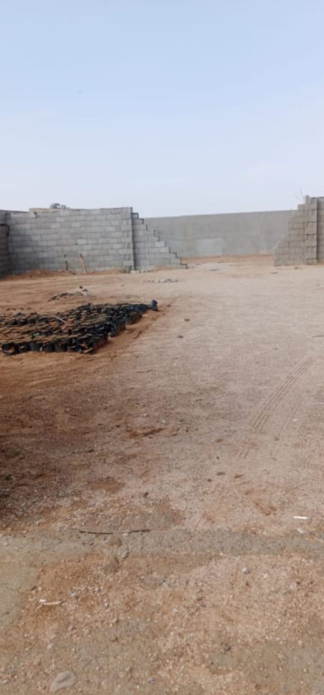 جوهره العروس