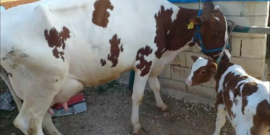 افلح من ذكر الله للبيع : بقره جر سي حق البيت على ا