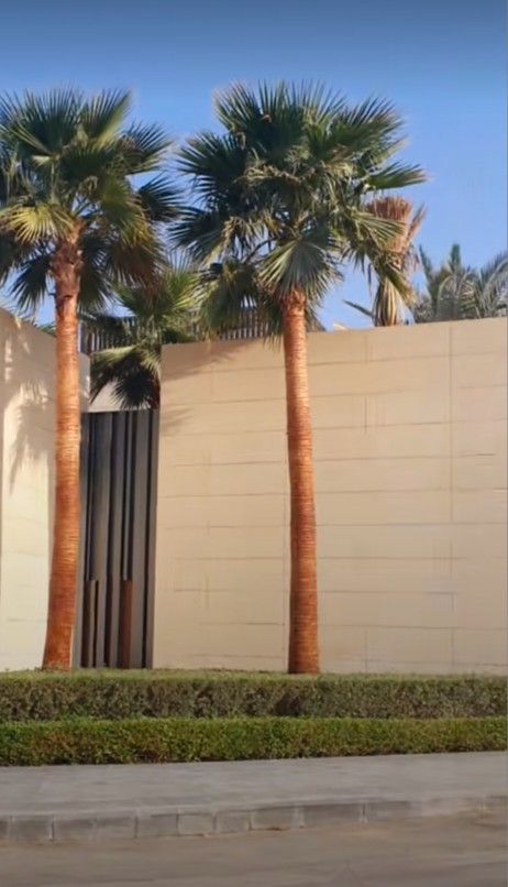 لبيع نخيل واشجار الزينه لتواصل 0530266042