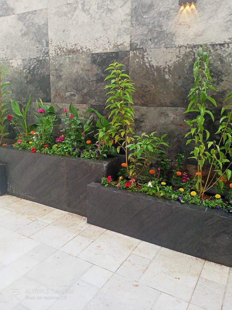 حي الياسمين