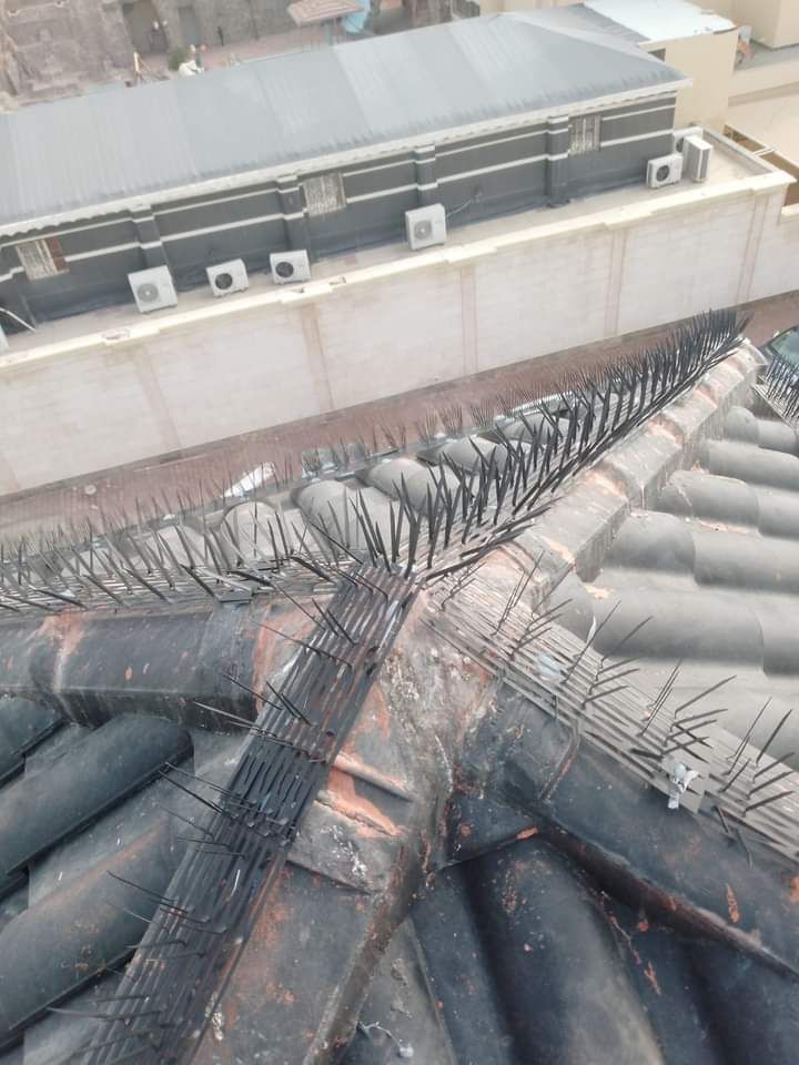 دبابيس طارد الحمام محافظ على نظافة البيت من الخارج