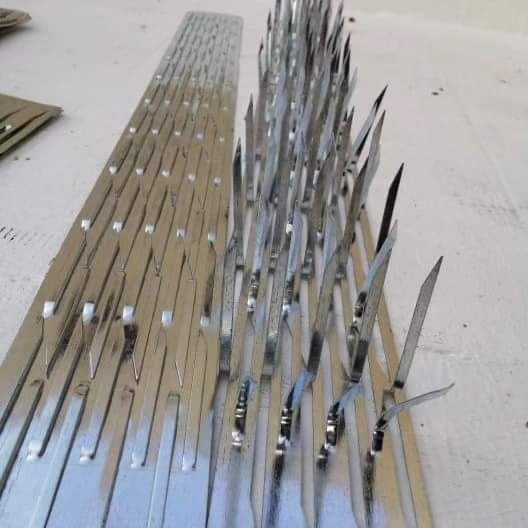 دبابيس طارد الحمام محافظ على نظافة البيت من الخارج