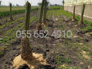 eeadb932-3883-437b-b362-593a49d881c4