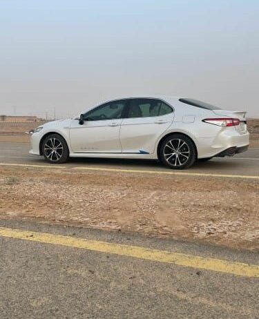 الرياض