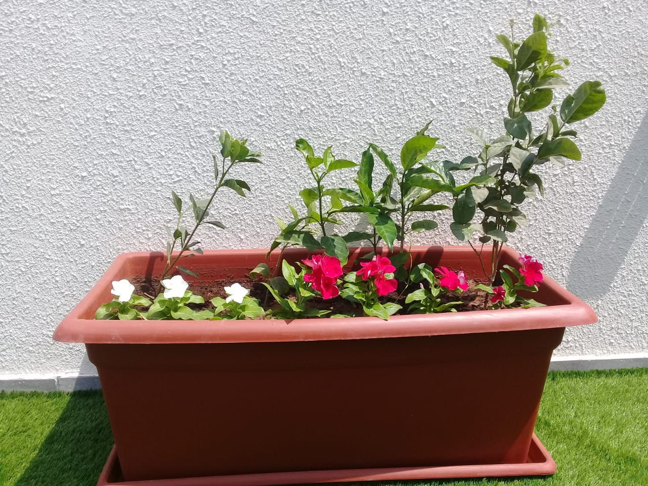 تنسيق حدائق جدة ومكه