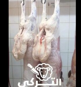 Store Banner