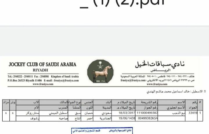المدينة المنورة الضميرية