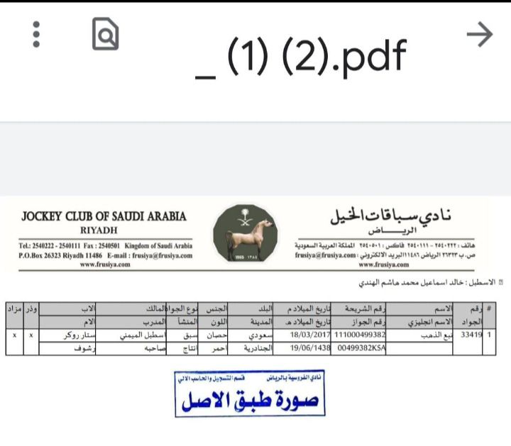 المدينة المنورة الضميرية