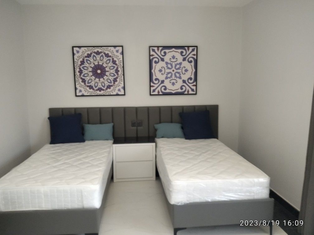 ابوبكر الصديق