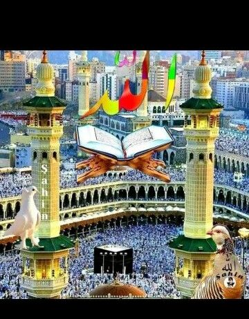 صبياء