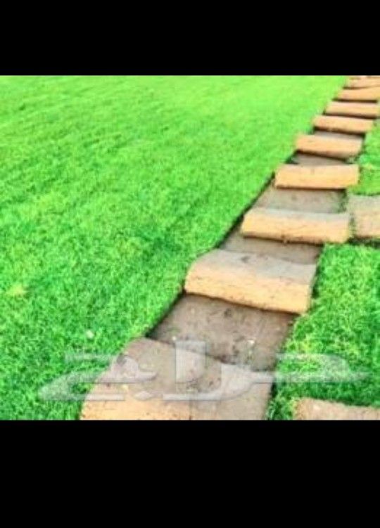 تنسيق حدائق وقص الثيل وتركيب وتوريد جميع انواع الث