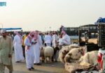 القصيم