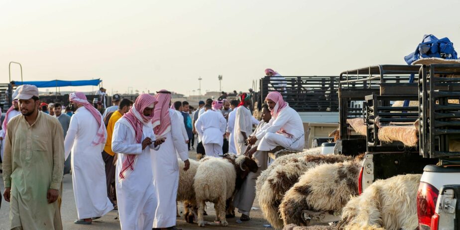 القصيم