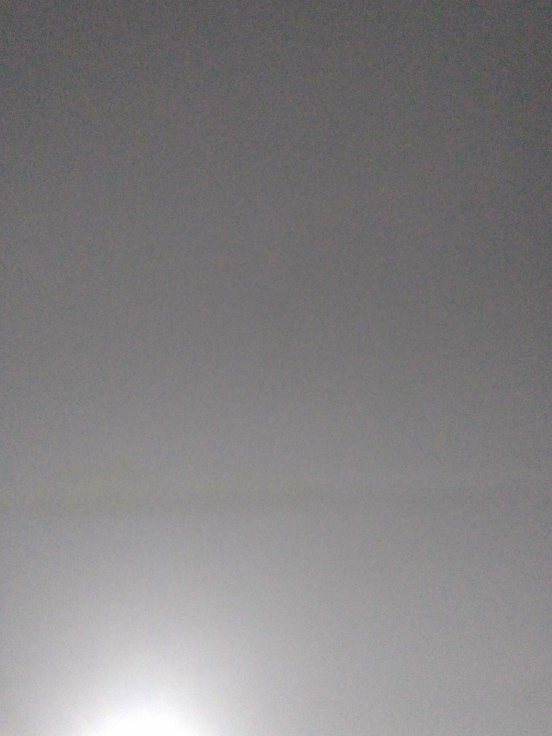 محمد ابو شوقي