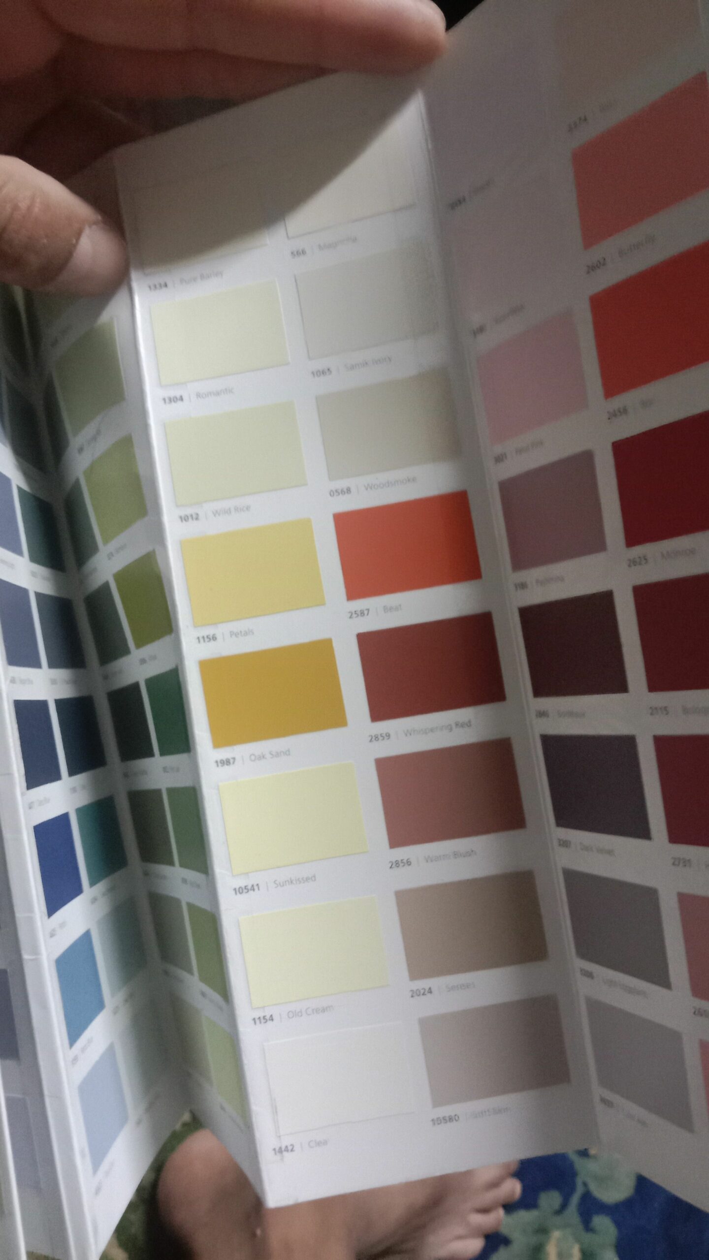 معلم دهانات الرياض امين