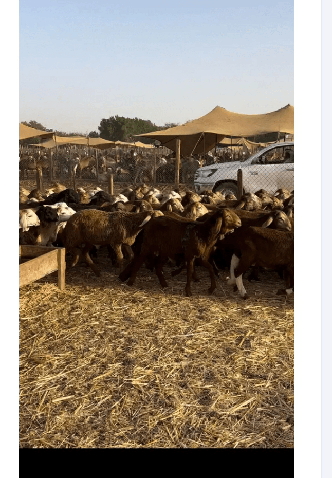 السعوديه جميع المناطق