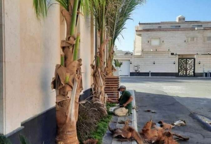 تنسيق حدائق جدة و مكه شلالات عشب صناعي ثيل طبيعي ج