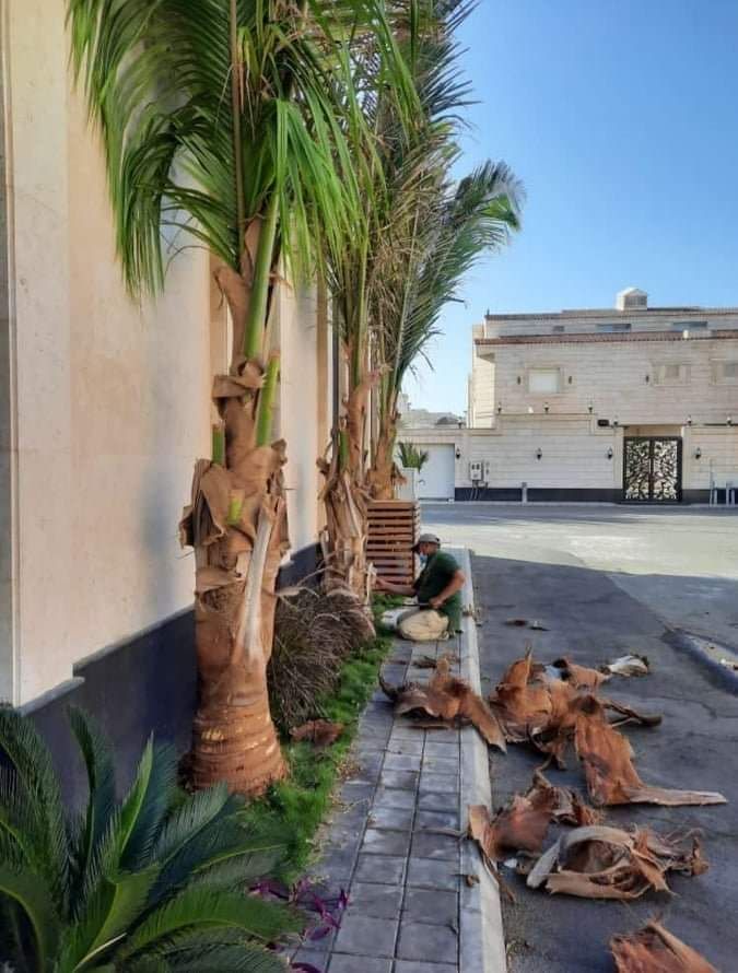 تنسيق حدائق جدة و مكه شلالات عشب صناعي ثيل طبيعي ج