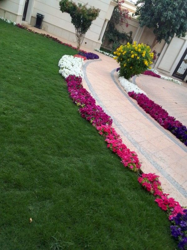 تنسيق حدائق وقص الثيل وتركيب وتوريد جميع انواع الث