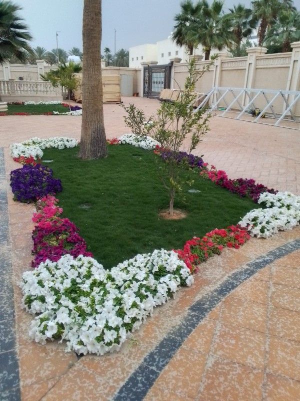 تنسيق حدائق وقص الثيل وتركيب وتوريد جميع انواع الث