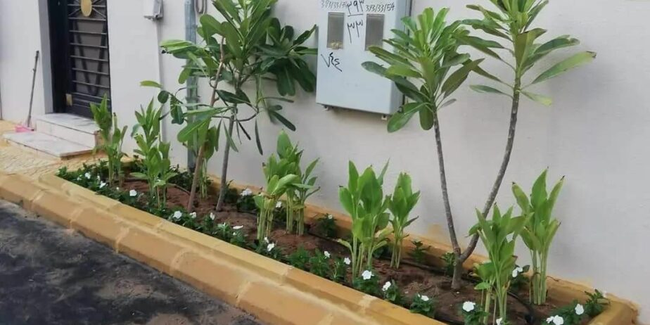 تنسيق حدائق جدة و مكه شلالات عشب صناعي ثيل طبيعي ج