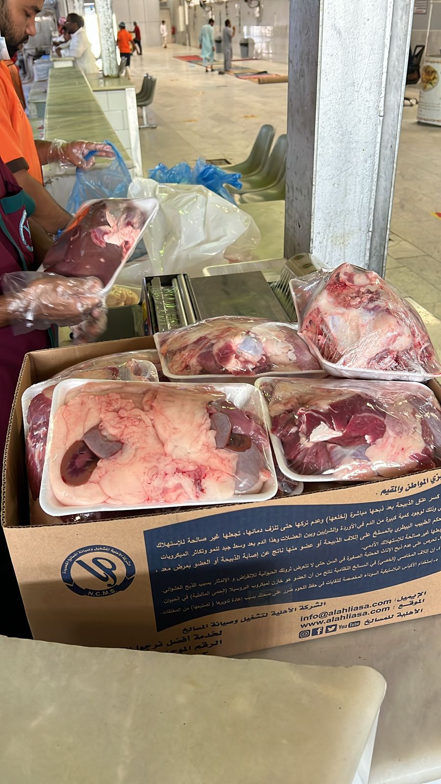 سوكني مرابي ٤شهو ذبايح