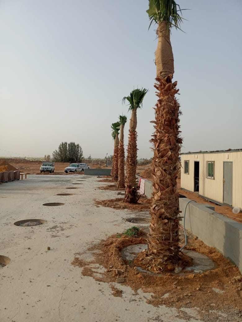 مقاول شبوك ونخيل وتراث