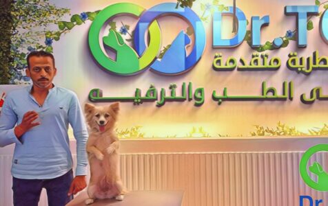 Store Banner