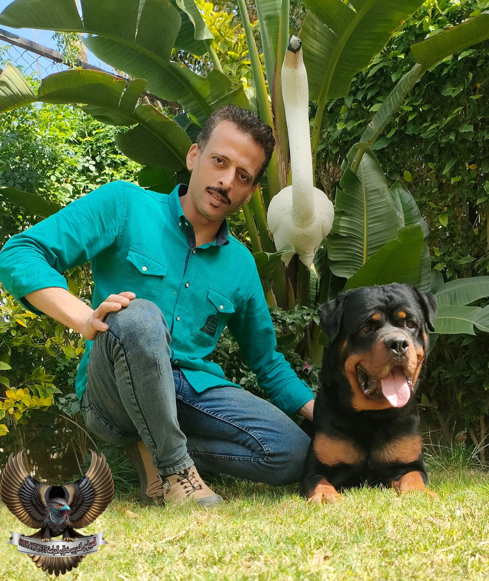 مدرب كلاب متخصص تدريب وتأهيل الكلاب بالأمر والإشار